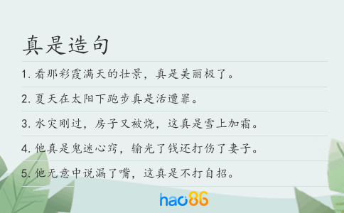 真是造句