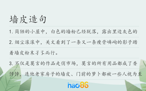 墙皮造句