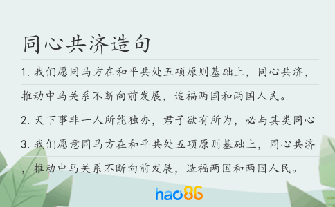 同心共济造句