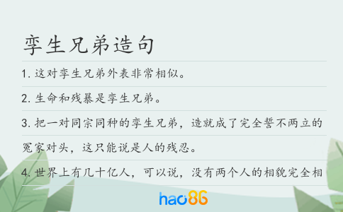 孪生兄弟造句
