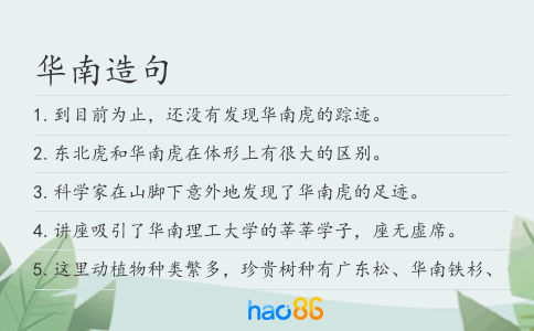 华南造句