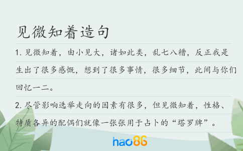 见微知着造句
