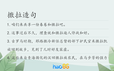 撒拉造句