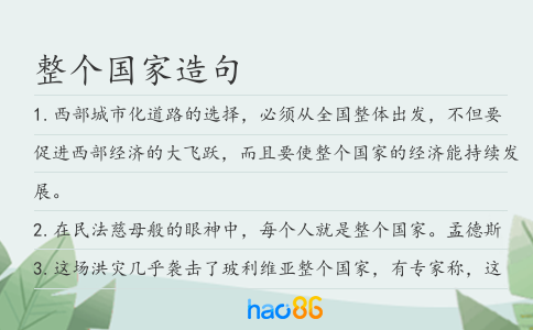 整个国家造句