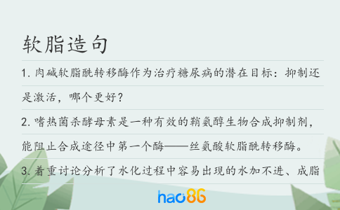 软脂造句