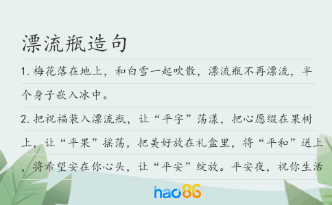漂流瓶造句