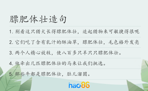 膘肥体壮造句