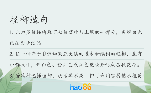 柽柳造句