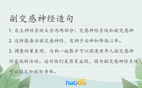 副交感神经造句
