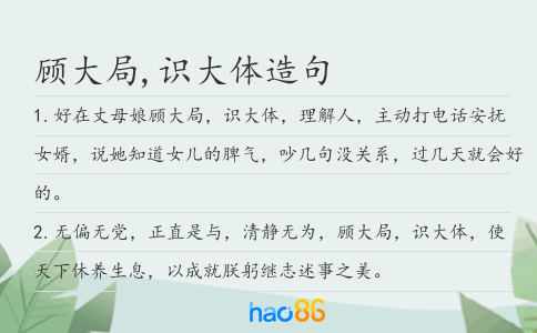 顾大局,识大体造句