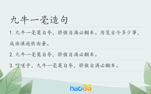 九牛一毫造句