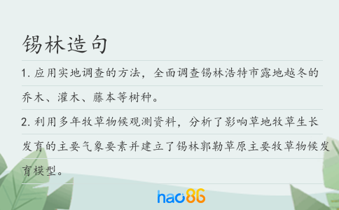 锡林造句