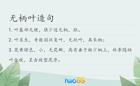 无柄叶造句