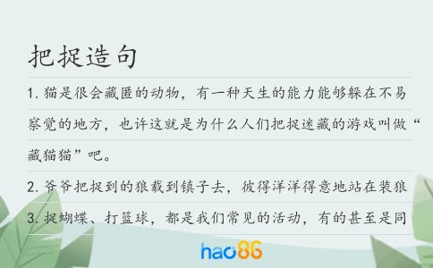 把捉造句