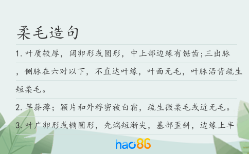 柔毛造句