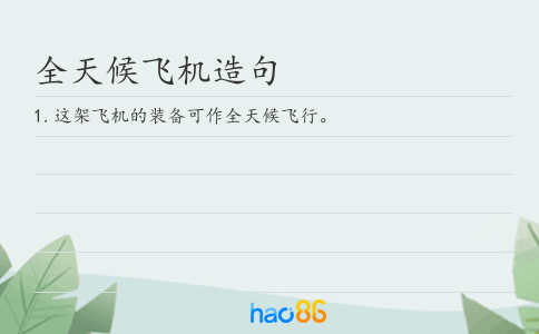 全天候飞机造句