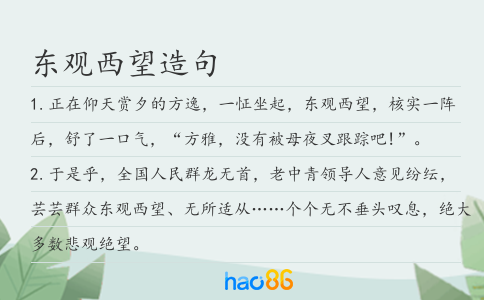 东观西望造句