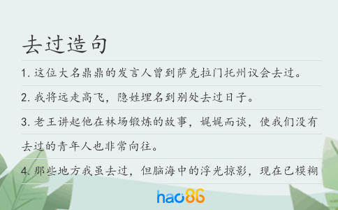 去过造句