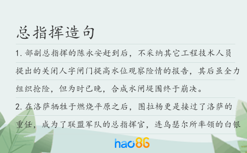总指挥造句