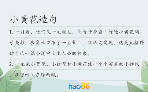 小黄花造句