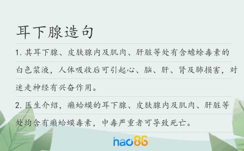 耳下腺造句