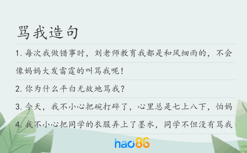 骂我造句