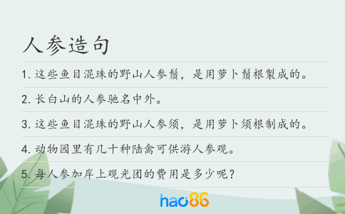 人参造句