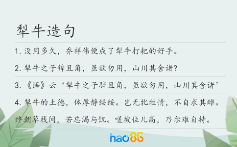 犁牛造句