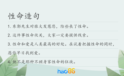 性命造句