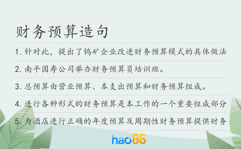 财务预算造句