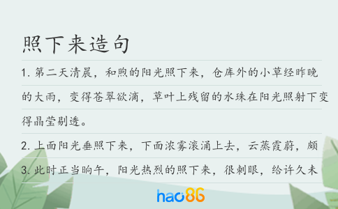 照下来造句