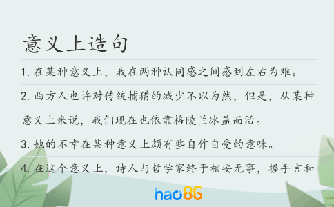 意义上造句