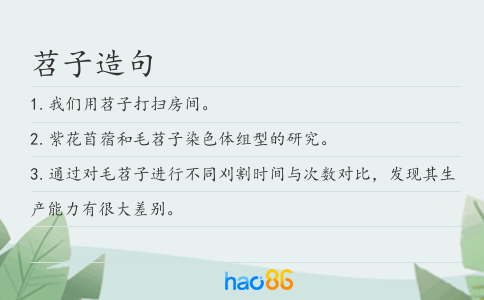 苕子造句