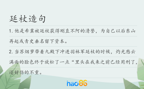 廷杖造句