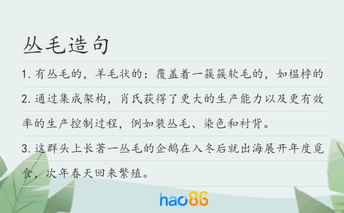 丛毛造句
