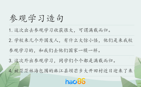 参观学习造句