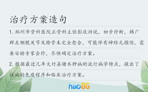 治疗方案造句