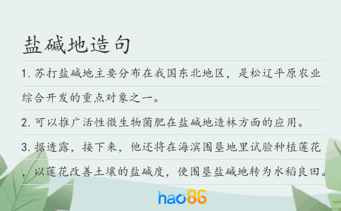 盐碱地造句