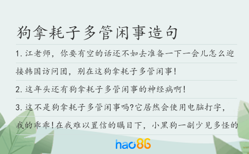 狗拿耗子多管闲事造句