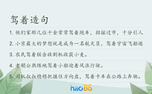 驾着造句