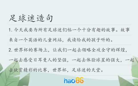 足球迷造句