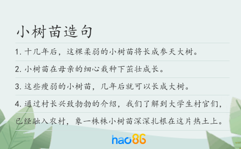 小树苗造句