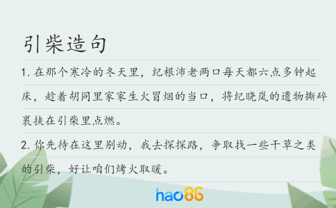 引柴造句