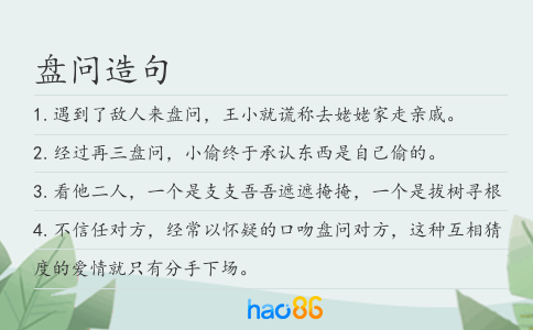 盘问造句