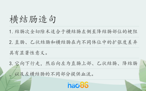 横结肠造句