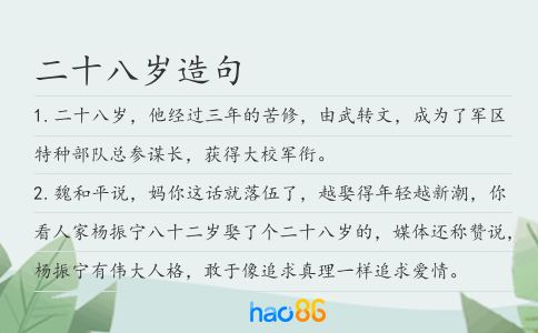 二十八岁造句