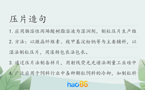 压片造句