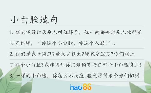 小白脸造句