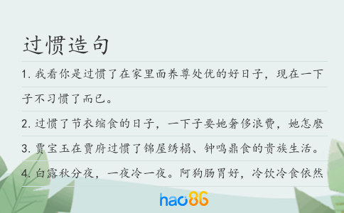 过惯造句