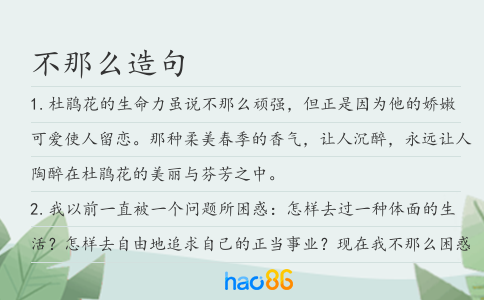 不那么造句